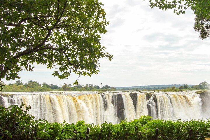 Victoria Falls Zimbabwe Side Guided Walk with Big Tree and Boiling Point (5/11)