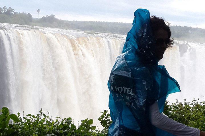 Victoria Falls Zambia Tour with Boiling Pot Descent and Victoria Falls Bridge Views (1/12)