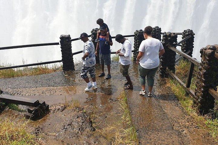 Victoria Falls Zambia Tour with Boiling Pot Descent and Victoria Falls Bridge Views (11/12)