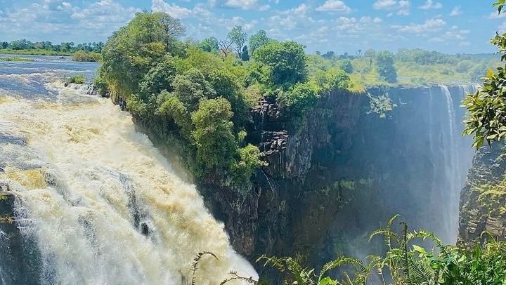 Victoria Falls Guided Walk with Thelma and Tonga Stories at the Big Tree (2/12)