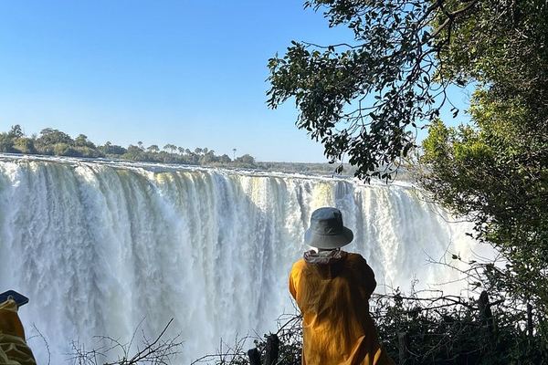 Victoria Falls Guided Walk with Thelma and Tonga Stories at the Big Tree