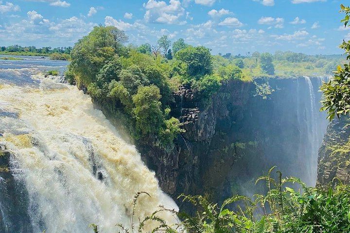 Victoria Falls Guided Walk with Thelma and Tonga Stories at the Big Tree (12/12)
