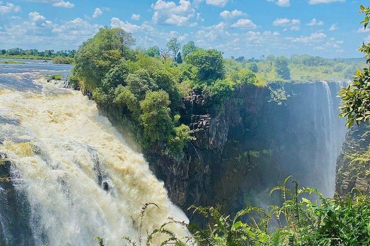 Victoria Falls Guided Walk with Thelma and Tonga Stories at the Big Tree (2/12)