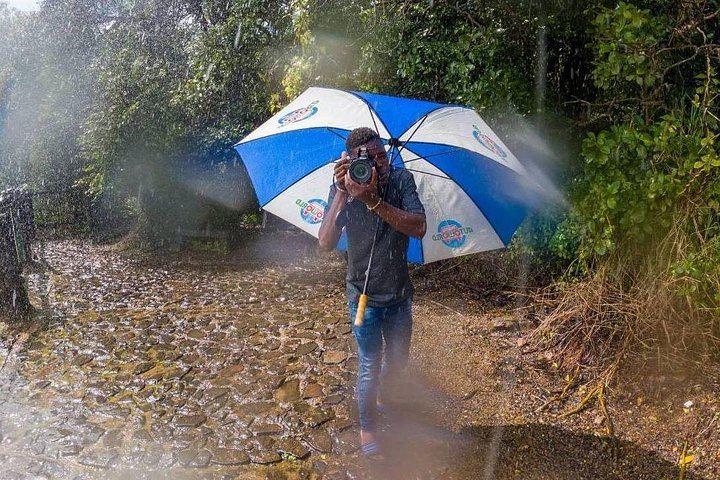 Victoria Falls Zambia Rainforest Walk with Viewpoint Stops, Fees and Taxes Included (5/7)