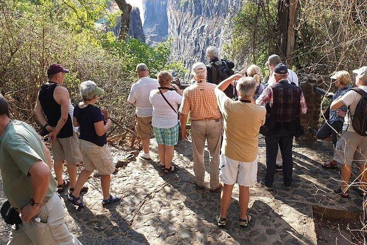 Victoria Falls Rainforest Walk on the Zambia Side with Livingstone Hotel Transfers (6/12)