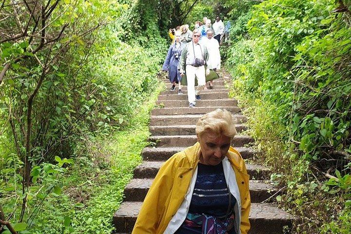 Victoria Falls Rainforest Walk on the Zambia Side with Livingstone Hotel Transfers (10/12)