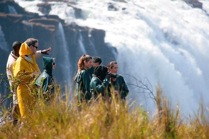 Victoria Falls Rainforest Walk on the Zambia Side with Livingstone Hotel Transfers (8/12)