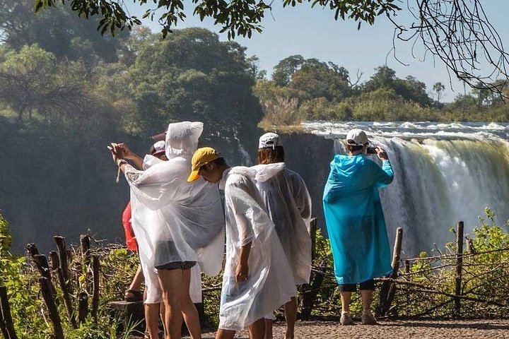 Victoria Falls Rainforest Walk on the Zambia Side with Livingstone Hotel Transfers (9/12)