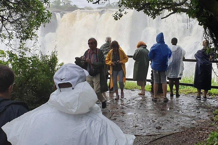 Victoria Falls Rainforest Walk on the Zambia Side with Livingstone Hotel Transfers (2/12)