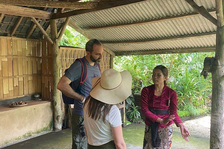 Ubud Private Guided Tour: Monkey Forest, Gunung Kawi Sebatu and Tegenungan Waterfall (1/12)