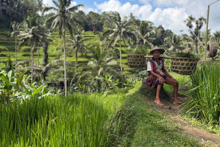 Ubud Private Guided Tour: Monkey Forest, Gunung Kawi Sebatu and Tegenungan Waterfall (7/12)