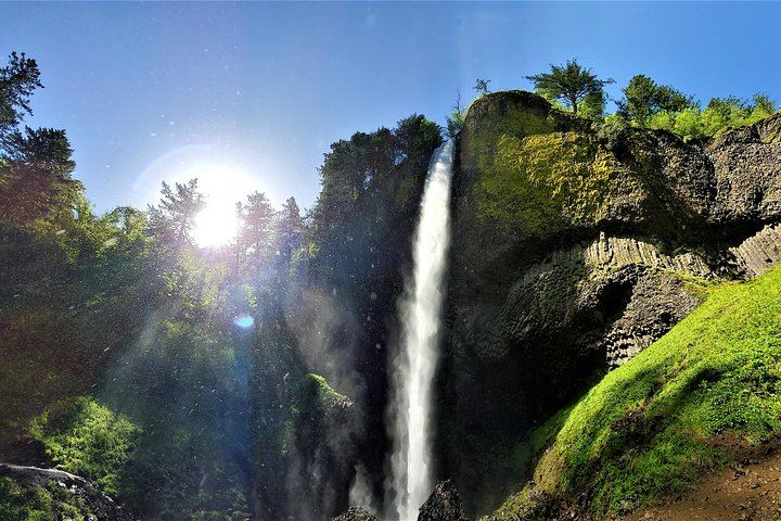 Half-Day Gorge Waterfalls Tour with Snacks, Drinks and Van Transfer, Portland (6/8)