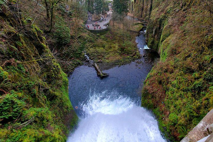 Half-Day Gorge Waterfalls Tour with Snacks, Drinks and Van Transfer, Portland (8/8)