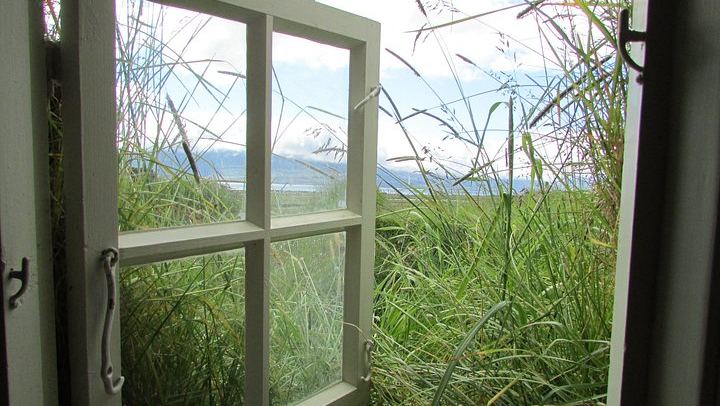 Half-Day Godafoss, Laufas Turf House and Christmas House Tour by The Traveling Viking (2/8)