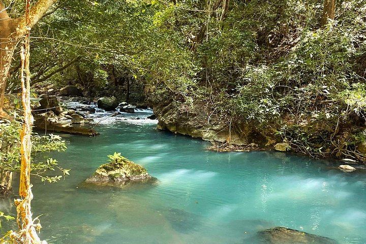 La Leona Waterfall Half-Day Hike with Unimog Ride from Curubande (6/12)