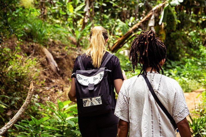 Half-Day Private Materuni Waterfalls and Chagga Coffee Tour with Local Guide (6/12)