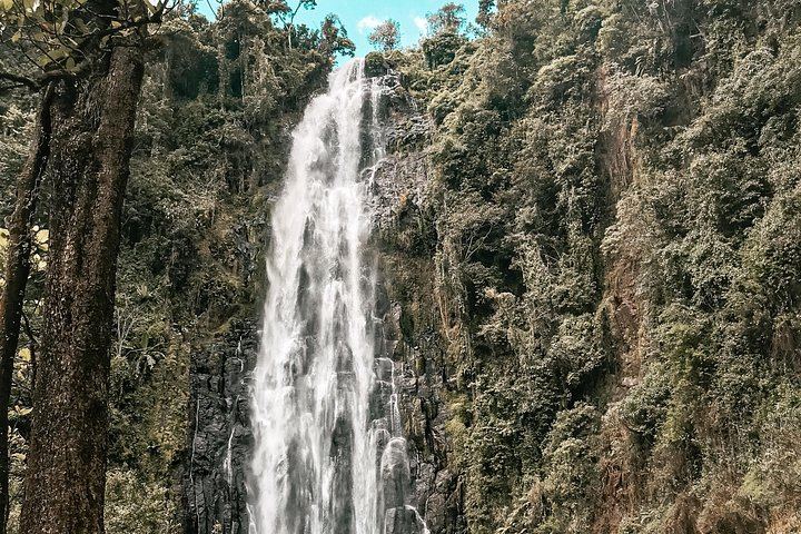 Half-Day Private Materuni Waterfalls and Chagga Coffee Tour with Local Guide (2/12)