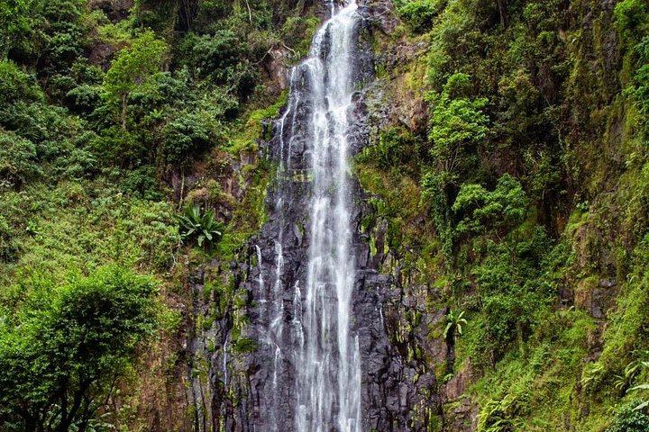 Half-Day Private Materuni Waterfalls and Chagga Coffee Tour with Local Guide (4/12)