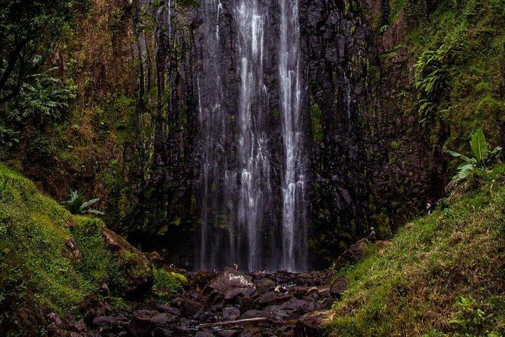 Half-Day Private Materuni Waterfalls and Chagga Coffee Tour with Local Guide (5/12)