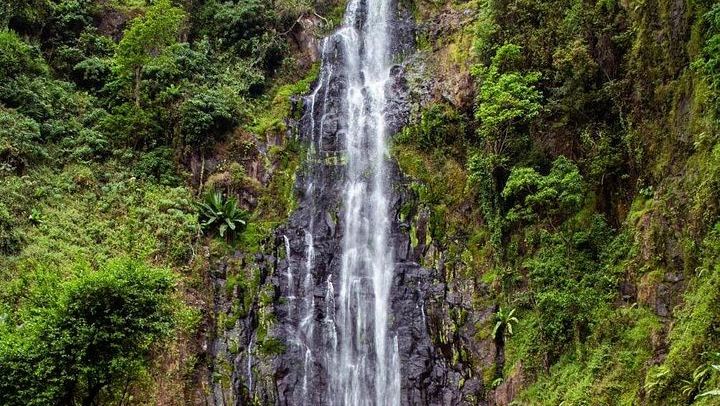 Half-Day Private Materuni Waterfalls and Chagga Coffee Tour with Local Guide (4/12)