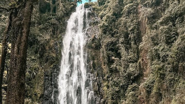 Half-Day Private Materuni Waterfalls and Chagga Coffee Tour with Local Guide (2/12)