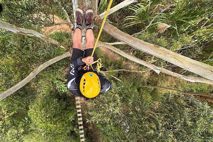 Beginner Waterfall Rappelling at La Reservita: Half Day with Community Lunch (7/12)