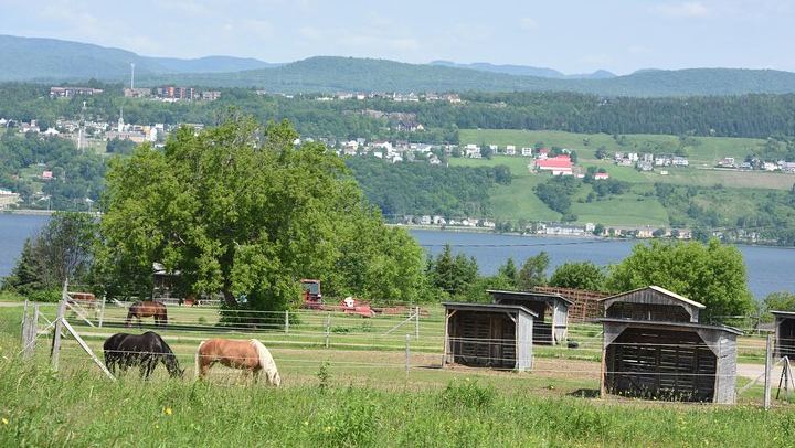 Montmorency Falls and Sainte-Anne-de-Beaupré Half-Day Coach Tour with Copper Museum Stop (3/12)