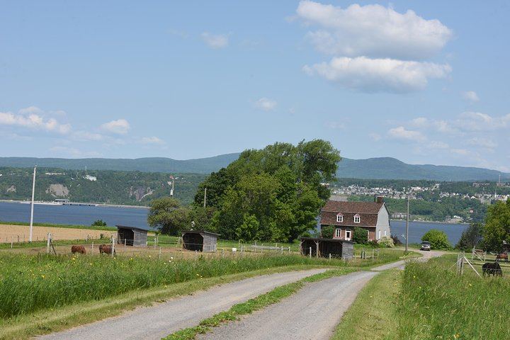 Montmorency Falls and Sainte-Anne-de-Beaupré Half-Day Coach Tour with Copper Museum Stop (7/12)