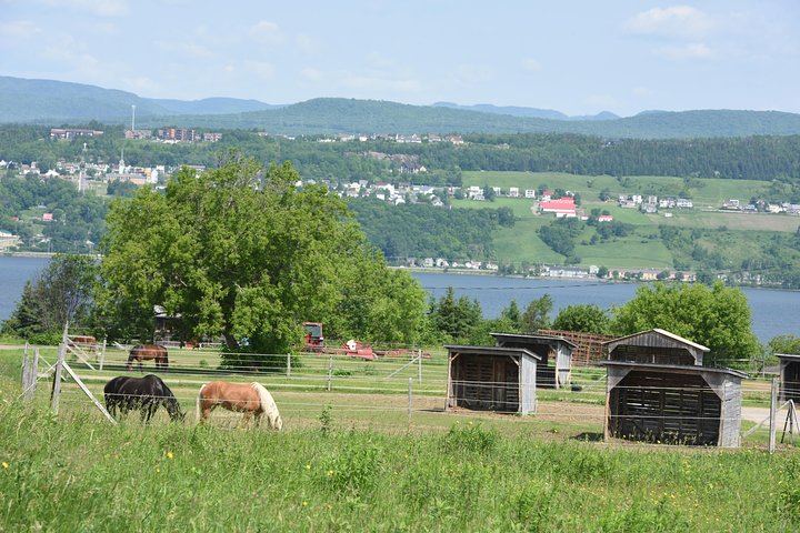 Montmorency Falls and Sainte-Anne-de-Beaupré Half-Day Coach Tour with Copper Museum Stop (3/12)
