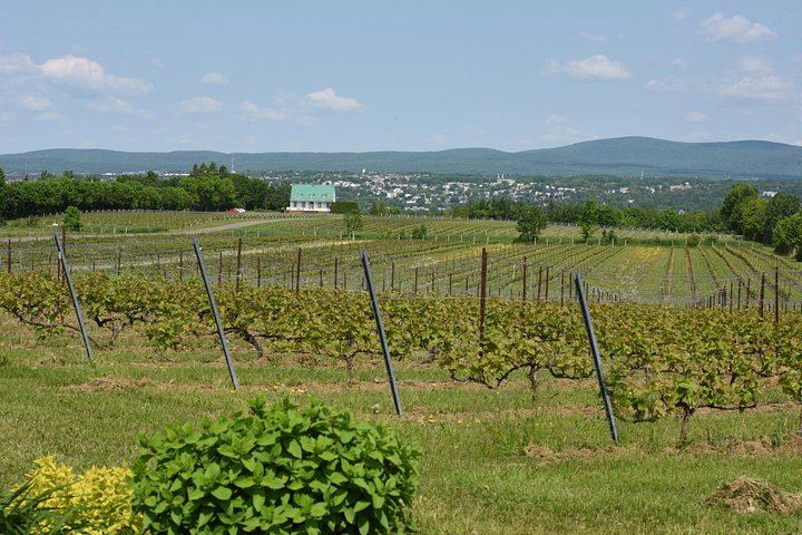 Montmorency Falls and Sainte-Anne-de-Beaupré Half-Day Coach Tour with Copper Museum Stop (8/12)