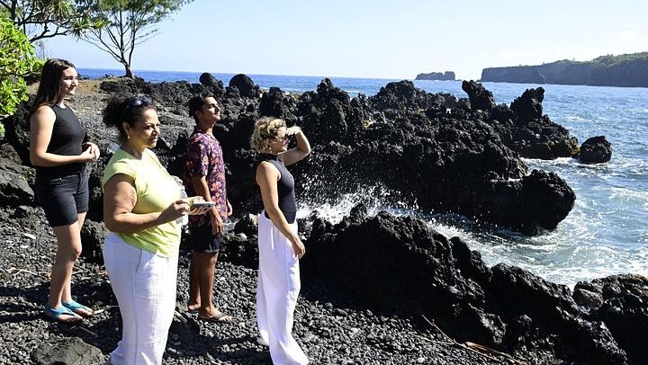 Half-Day Road to Hana by 2025 Mercedes Sprinter: Banana Bread, Turtles and Waterfall Swim (4/12)