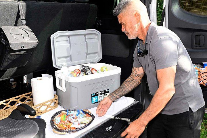 Half-Day Road to Hana by 2025 Mercedes Sprinter: Banana Bread, Turtles and Waterfall Swim (6/12)
