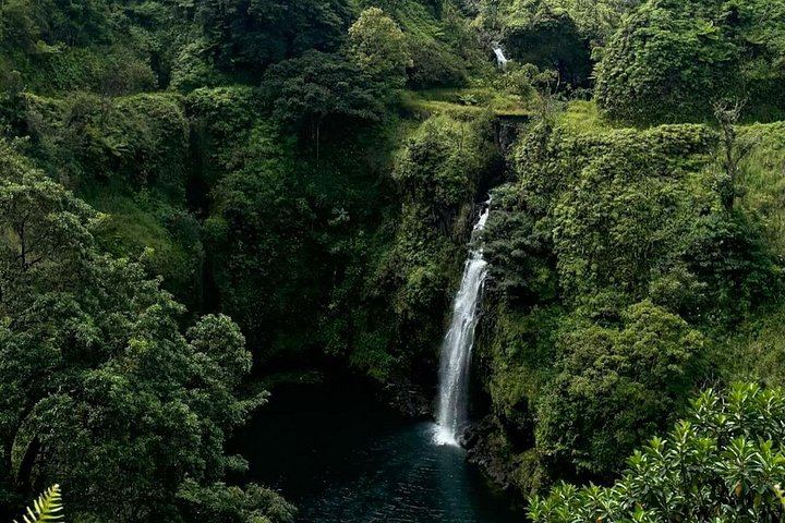 Half-Day Road to Hana by 2025 Mercedes Sprinter: Banana Bread, Turtles and Waterfall Swim (10/12)