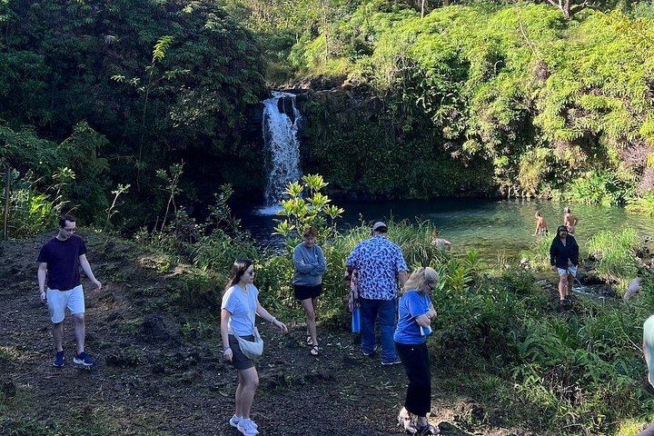 Half-Day Road to Hana by 2025 Mercedes Sprinter: Banana Bread, Turtles and Waterfall Swim (5/12)