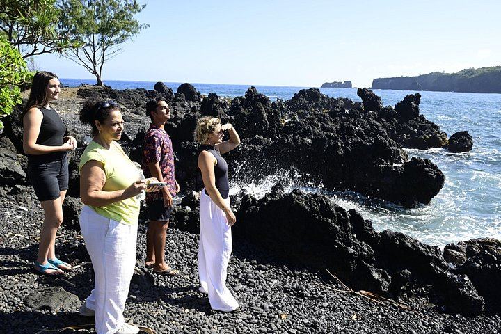 Half-Day Road to Hana by 2025 Mercedes Sprinter: Banana Bread, Turtles and Waterfall Swim (4/12)