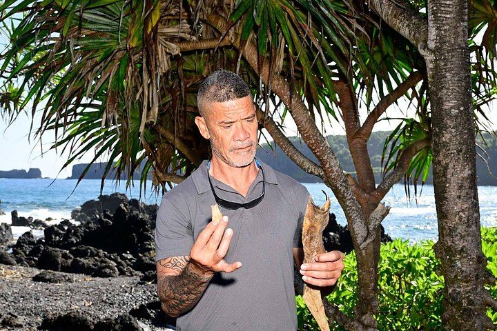 Half-Day Road to Hana by 2025 Mercedes Sprinter: Banana Bread, Turtles and Waterfall Swim (8/12)