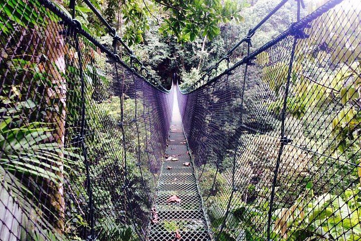 Mulguri Waterfalls Small-Group Trip near Manuel Antonio with Family Home Lunch (3/11)