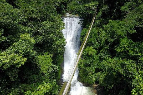 Los Campesinos Reserve Waterfalls and 127-Meter Hanging Bridge near Manuel Antonio