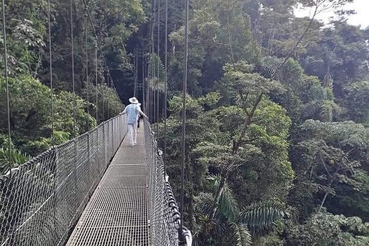 Private Day: Mistico Hanging Bridges, La Fortuna Waterfall, Arenal Lava Fields and Lunch (7/12)