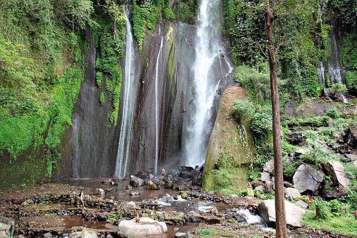 Haunted Valley Waterfall Tour by Finn Komodo Buggy and Mountain Bike, Munduk (1/8)