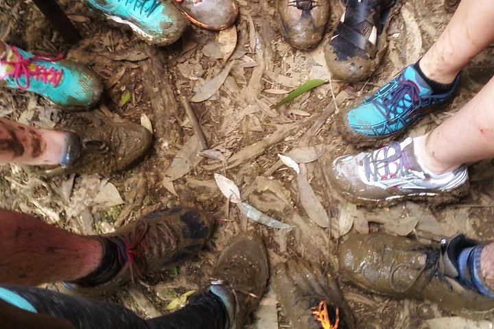 Small Group Hana Highway Waterfall Hike with Lunch from Kahului Park and Ride (11/11)
