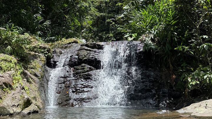 Cordillera Central Waterfall Day: Chorro de Doña Juana, Las Delicias and Toro Negro (4/12)