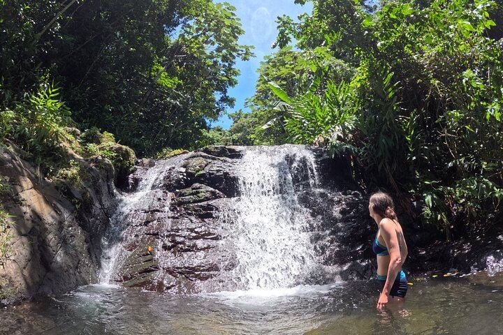 Cordillera Central Waterfall Day: Chorro de Doña Juana, Las Delicias and Toro Negro (2/12)