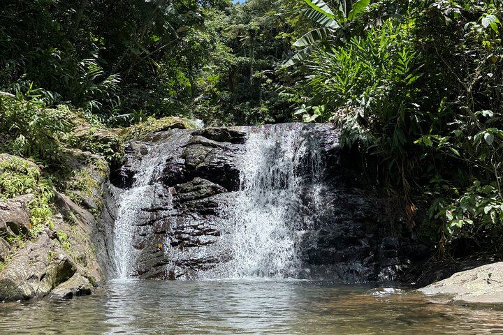 Cordillera Central Waterfall Day: Chorro de Doña Juana, Las Delicias and Toro Negro (4/12)