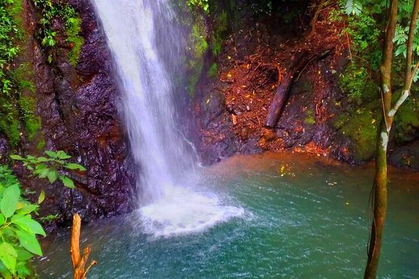 Finca Los Solis Hike near Jaco: 10 Waterfalls and 8 Natural Pools, 2.5 to 3 Hours