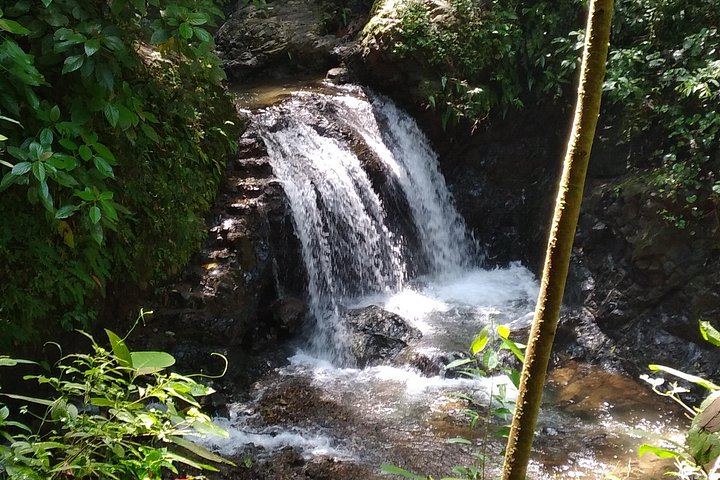 Finca Los Solis Hike near Jaco: 10 Waterfalls and 8 Natural Pools, 2.5 to 3 Hours (12/12)