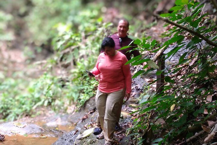 Finca Los Solis Hike near Jaco: 10 Waterfalls and 8 Natural Pools, 2.5 to 3 Hours (9/12)