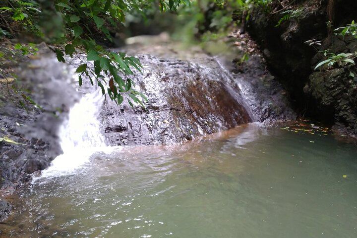 Finca Los Solis Hike near Jaco: 10 Waterfalls and 8 Natural Pools, 2.5 to 3 Hours (10/12)