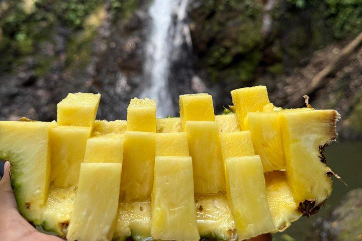 Garabitours Hidden Canyon Hike near Jaco: Waterfalls, Cliff Jumping and Farm Stops (9/12)