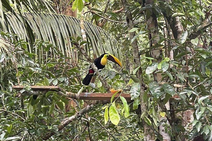 Garabitours Hidden Canyon Hike near Jaco: Waterfalls, Cliff Jumping and Farm Stops (6/12)